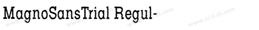 MagnoSansTrial Regul字体转换